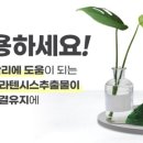 샤워하는 강아지 이미지