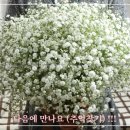 [방송마감] 음악산책 동행 감사합니다.이어서 20시 장량님과 함께~~ 이미지