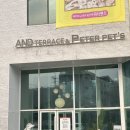 스타일펫츠 | 애견동반카페 : 피터펫츠 내유점 내돈내산 방문 후기