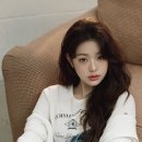 타미 이미지