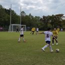 하나스포츠3 이미지