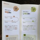 버들유치원 | 오류버들시장 버들나들이 알수록 재밌는 서울여행