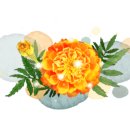 아가쏘잉협동조합 이미지