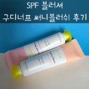 써니화장품 | SPF 블러셔 추천 구디너프 써니블러쉬 후기｜자차 되는 블러셔 자연발색 사용감 리뷰