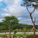 소리의섬 이미지