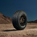 모든타이어 T-매니져 이미지