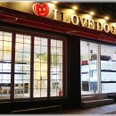 강아지분양 애견입양 아이러브독 수원점 말티푸미니비숑포메 이미지