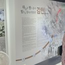 1004 부산 감천문화마을 이미지