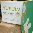 쌍봉대중탕 | 후쿠오카 여행 가볼만한곳 유후인 버스투어 내돈내산 추천 총정리 후기