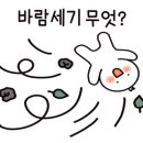 모토카워시(옥길점) 이미지