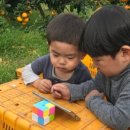 쉼터농장 이미지