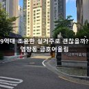 The블루공인중개사사무소 | 금호타운, 염창동 9억대 조용한 실거주로 괜찮을까 (30년 토박이 솔직후기·실거래가 포함)