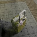 꿀꿀이 돈돈돈 | 일본 나고야 여행후기