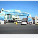 고래불관광지 이미지