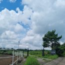 라이더스랩 | 제주승마체험 성산에서 승마체험하고 인생샷 라이더스랩🐴