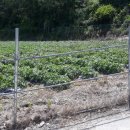 신원면-38 이미지