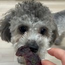 꼬미네까까 이미지