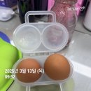 박물관카센타 | 2025-03. 당신이 옳다