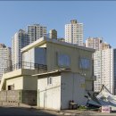 도시기억상실증 네이버블로그
