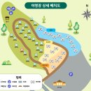 88. 대구 근교 비슬산자연휴양림 숲속오토캠핑장 1박2일 초대캠핑