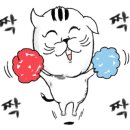 하은동물병원 이미지