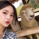 고마워눈썹