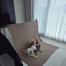 아트.비 | [청주 출장 본아트 촬영] 비다움 후기