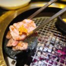 가야부처스 이미지