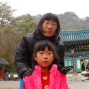 우리 캠핑장 이미지