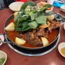 오늘의 TMI 전송합니젶 📬 이미지