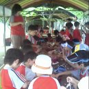 대일유치원 이미지