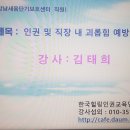 비대면 줌교육 - 인권 및 직장 내 괴롭힘예방교육 강남세움단기보호센터 강의 - 교육활동 이미지