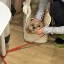 필라테스포유 - 광진구 능동로4길 47 | 인천 연수동 필라테스 추천 바디포유필라테스 그룹수업 후기
