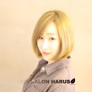하루스(HARUS) 이미지