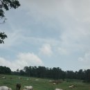 민철목장 이미지