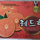 태양청과 이미지