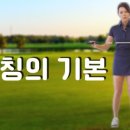 윌핏 이미지