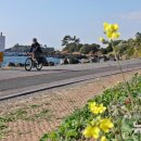 법환동-18 이미지