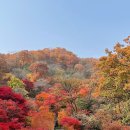 화담 이미지