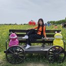 토마토 댄스스포츠학원 Daum카페
