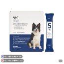 옷고르는고양이 | 강아지 고양이 분리불안 영양제 추천 혼자 있는 시간 걱정될 때 펫애즈 펫S 후기