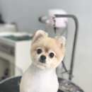 관저남로 이미지