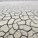 비야비야 이미지