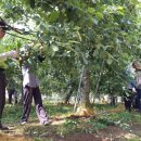 주상면사무소 이미지