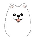 펫매니저 이미지