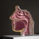 다정해정신건강의학과의원 이미지