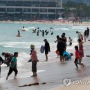 해운대해수욕장 이미지