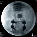 최마취통증의학과의원 이미지