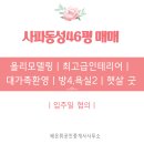 배은휘공인중개사사무소 | 대가족 추천 사파동성아파트 46평 착한금액으로 매매합니다 올리모델링되어 있어요