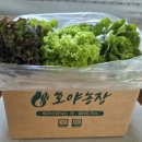 호야농장 이미지